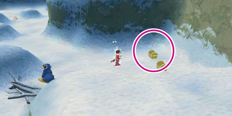 氷の神殿の「ディフェンサー」の入手場所