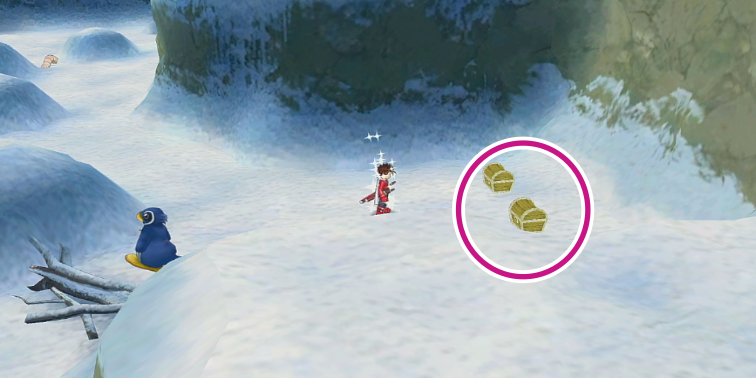 氷の神殿の「エンシェントローブ」の入手場所