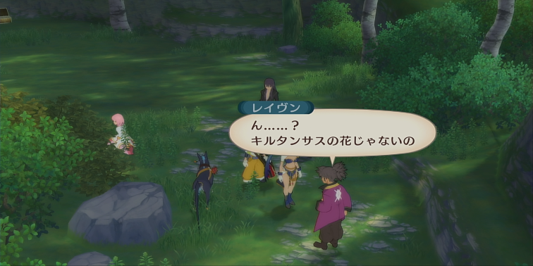 弔いの戦士1【テイルズオブヴェスペリア】