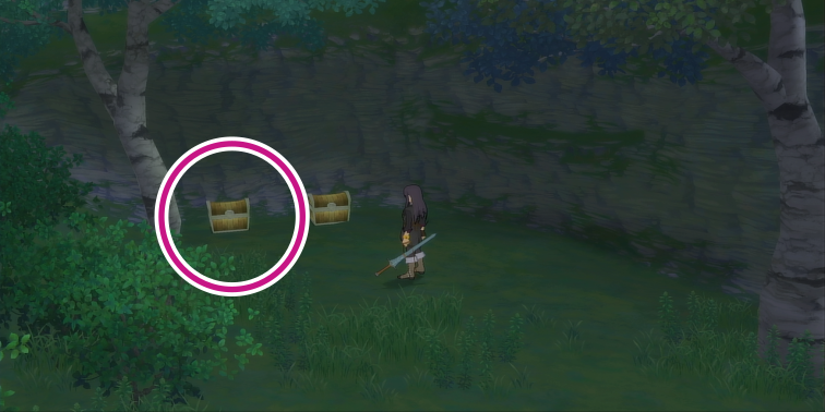 エフミドの丘の2000ガルドの入手場所【テイルズオブヴェスペリア】