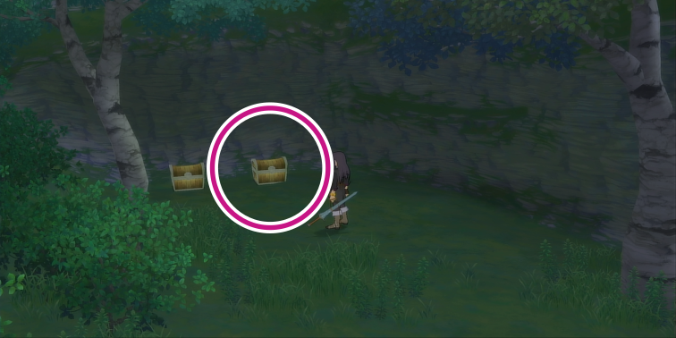 エフミドの丘のホーリィボトルの入手場所【テイルズオブヴェスペリア】