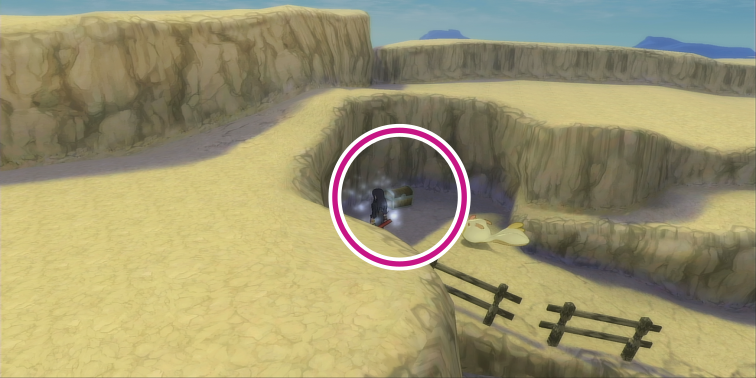 エゴソーの森の3000ガルドの入手場所【テイルズオブヴェスペリア】