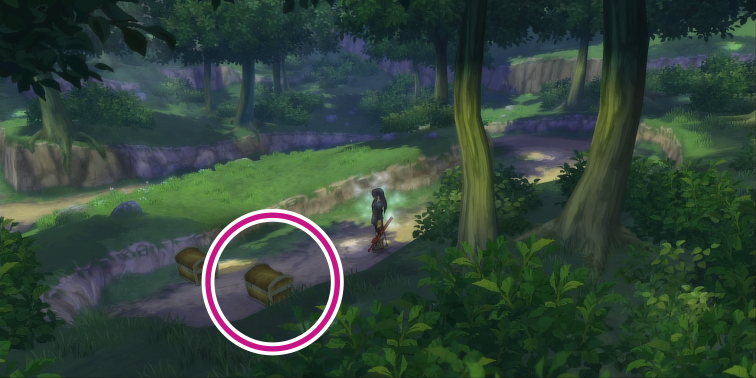 エゴソーの森の9000ガルドの入手場所【テイルズオブヴェスペリア】