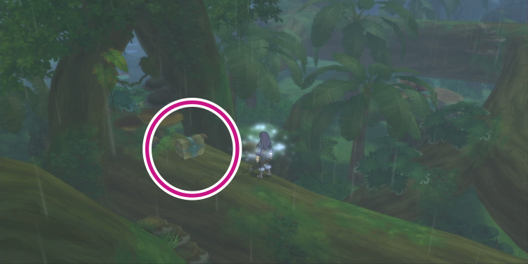 ケーブ・モック大森林のオレンジグミの入手場所【テイルズオブヴェスペリア】