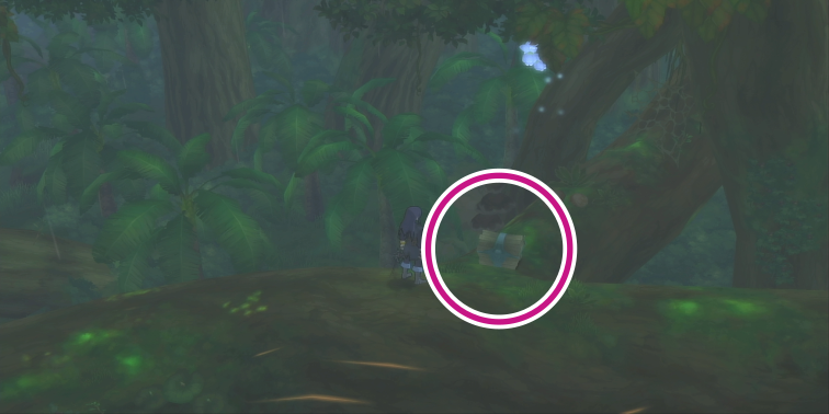 ケーブ・モック大森林のレモングミの入手場所【テイルズオブヴェスペリア】