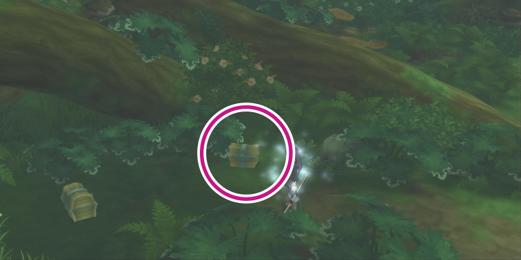 ケーブ・モック大森林のセージの入手場所【テイルズオブヴェスペリア】