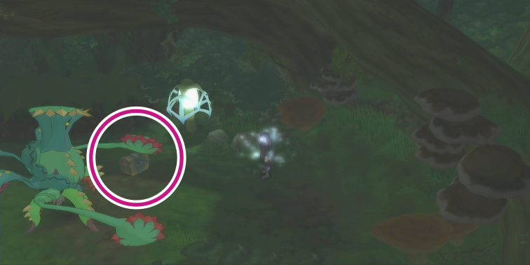 ケーブ・モック大森林の暴走おっさんの入手場所【テイルズオブヴェスペリア】