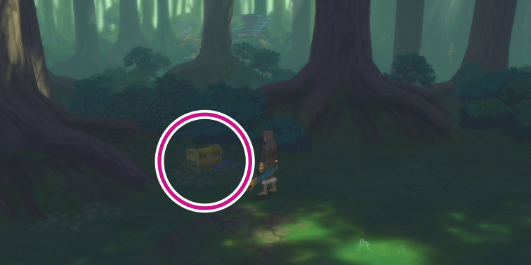 クオイの森のスペクタクルズの入手場所【テイルズオブヴェスペリア】