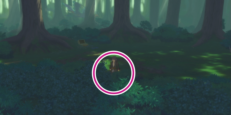 クオイの森のパン、タマゴの入手場所【テイルズオブヴェスペリア】