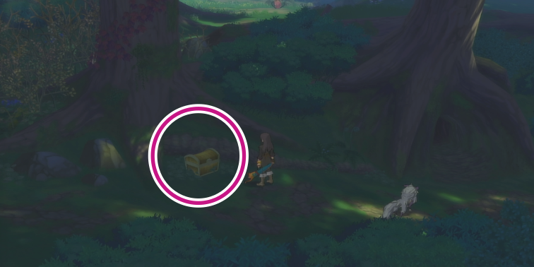 クオイの森のマントの入手場所【テイルズオブヴェスペリア】