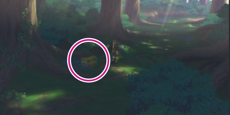 クオイの森のライフボトルの入手場所【テイルズオブヴェスペリア】