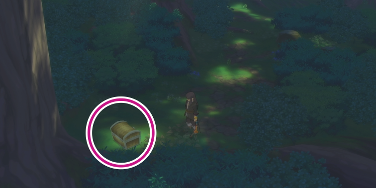 クオイの森のオレンジグミの入手場所【テイルズオブヴェスペリア】