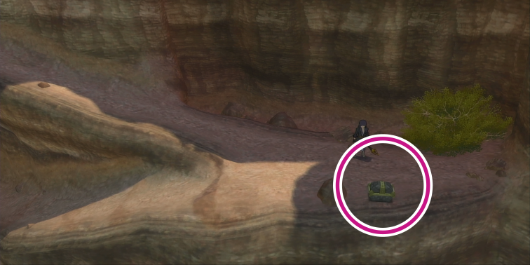 レレウィーゼ古仙洞のフォルティスタッフの入手場所【テイルズオブヴェスペリア】