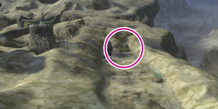 テムザ山のデッドリーホーンの入手場所【テイルズオブヴェスペリア】